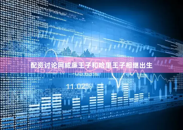 配资讨论网威廉王子和哈里王子相继出生