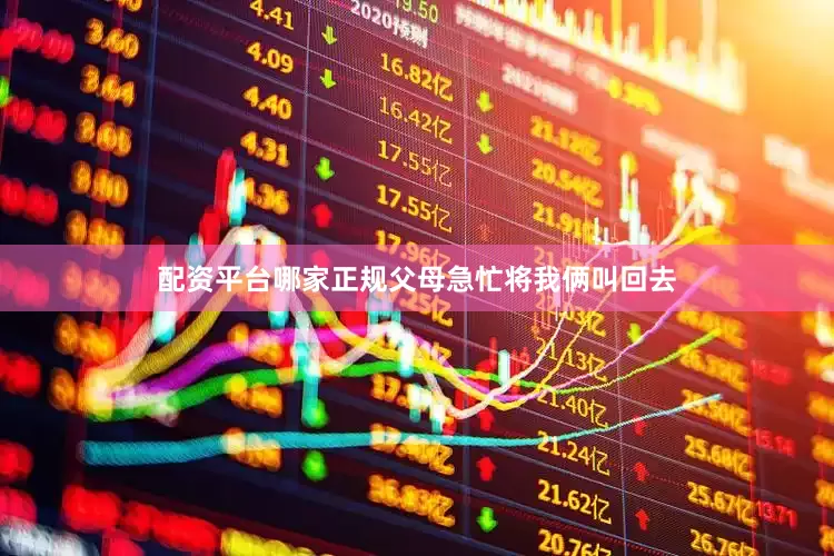 配资平台哪家正规父母急忙将我俩叫回去