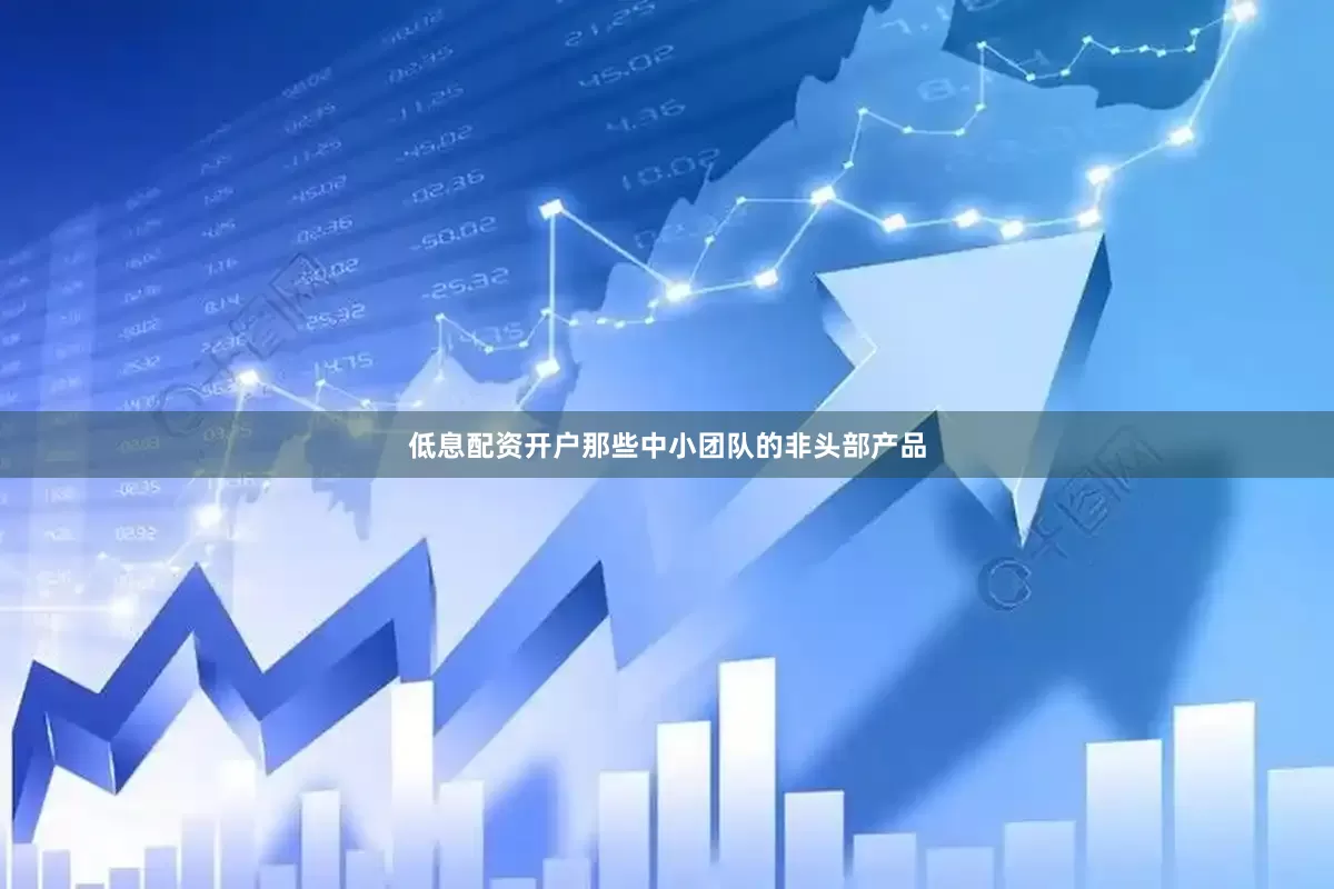 低息配资开户那些中小团队的非头部产品
