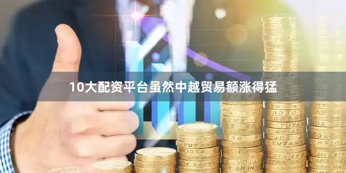 10大配资平台虽然中越贸易额涨得猛