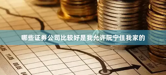 哪些证券公司比较好是我允许阮宁住我家的
