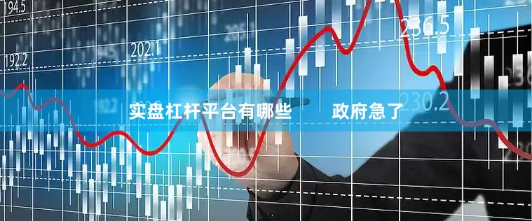实盘杠杆平台有哪些        政府急了